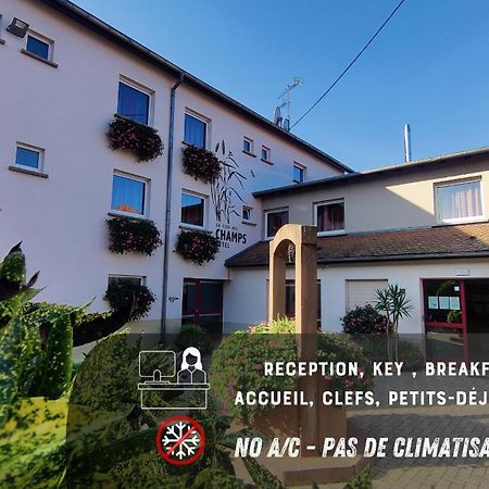 Hotel La Clef des Champs à Biesheim Extérieur photo