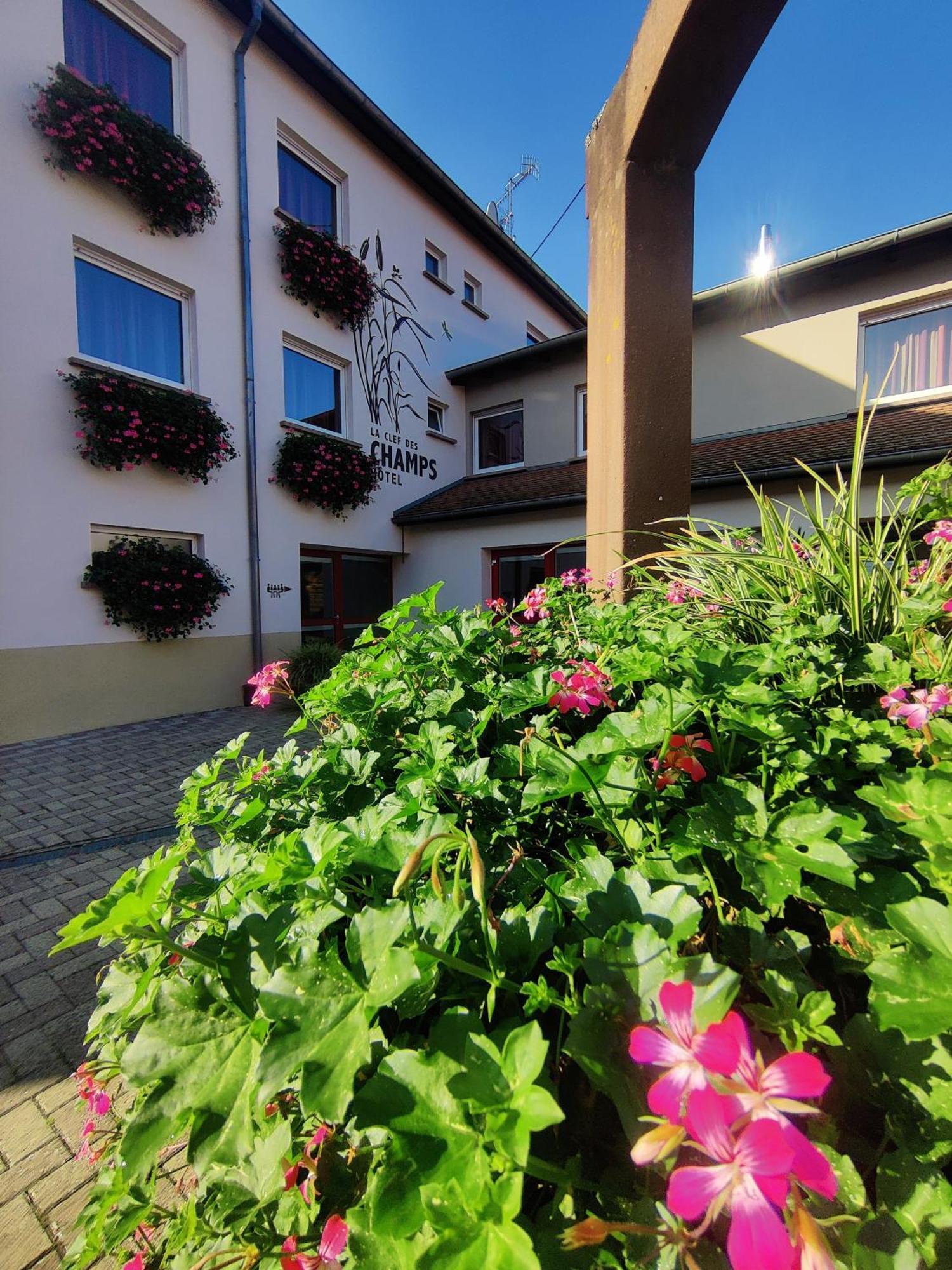 Hotel La Clef des Champs à Biesheim Extérieur photo